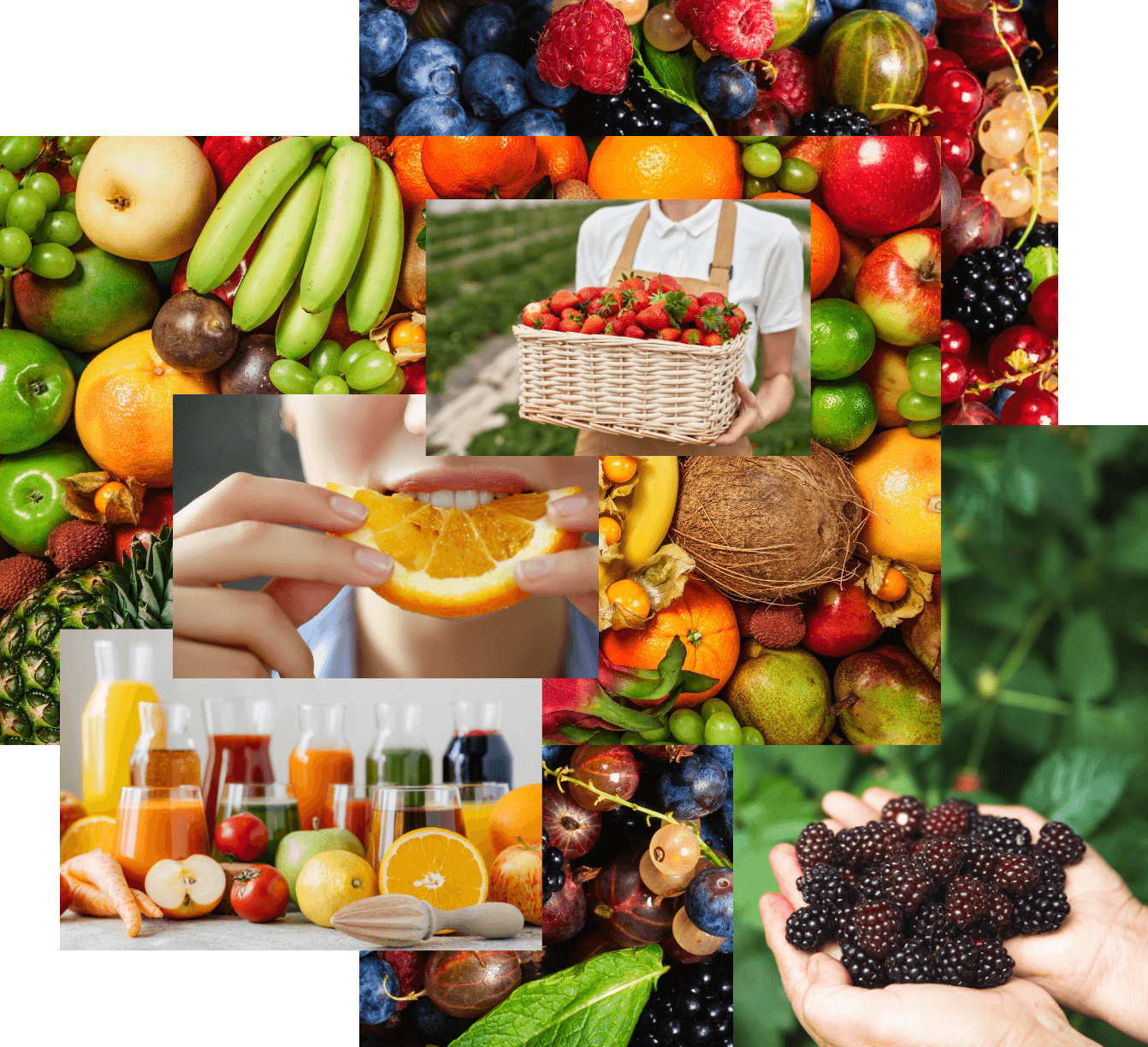collage van groeten, fruit en maaltijd